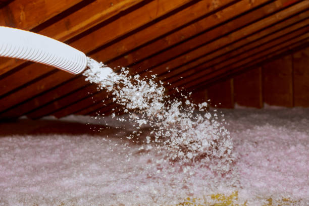 Best Residential Insulation in Line Acres, MO