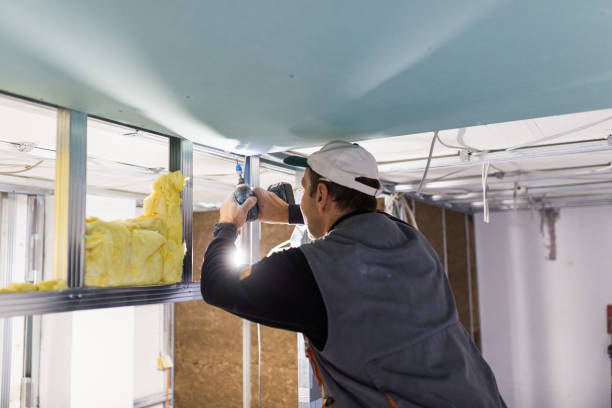 Best Spray Foam Insulation in Line Acres, MO