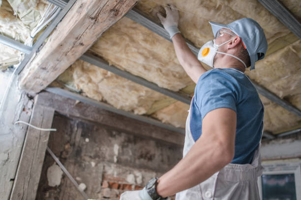 Best DIY Insulation Kits and Guidance in Line Acres, MO