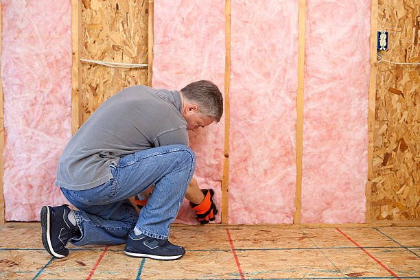 Types of Insulation We Offer in Moline Acres, MO