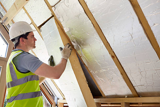Types of Insulation We Offer in Moline Acres, MO