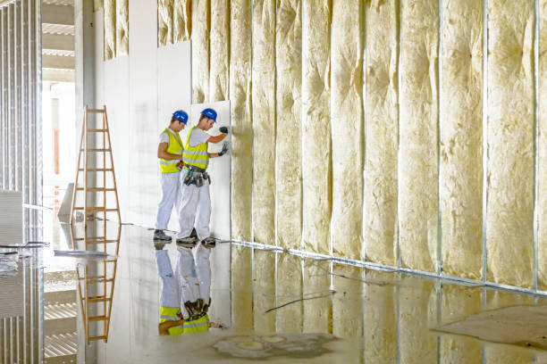 Best Spray Foam Insulation in Line Acres, MO